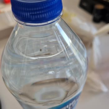 Nestle Su Şişesinde Madde