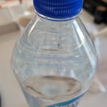 Nestle Su Şişesinde Madde