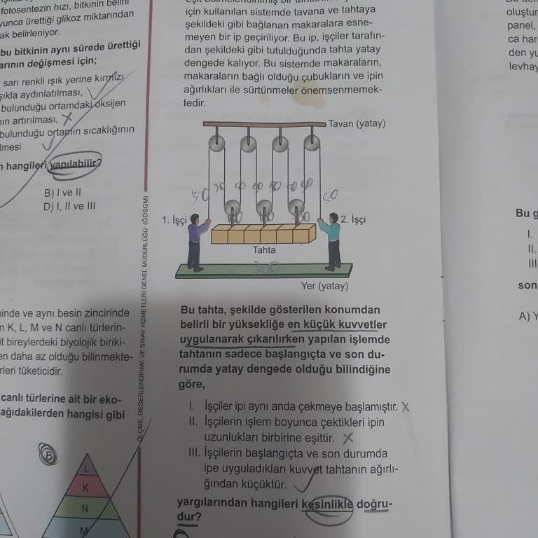 Milli Eğitim Bakanlığı (MEB) LGS Fen Sorusu