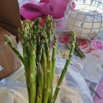 Urla Doğal Ürünler (Instagram: urla.dogalurunler) Urla Doğal Ürünler Pişmanlık