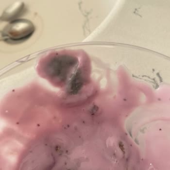 Bozuk Sek Quark Yoğurt: Sağlığımız Tehlikede!