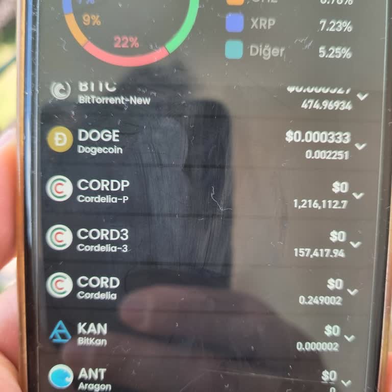 Bitay Cordella Coin Ön Satışında Yaşanan Sorunlar Ve Kilit Açılmaması