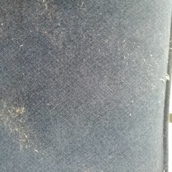 İstikbalde Koltuk Aldık Tüylenme Yaptı