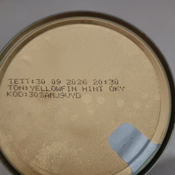 Dardanel Klasik Ton Balığı Zehirlenmesi