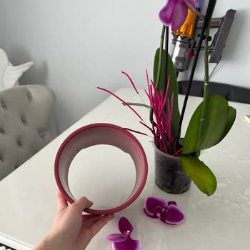 Çiçek Sepeti Pişmanlıktır!