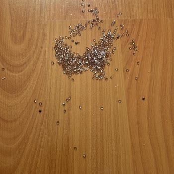 Duman Butik Mağduriyet Ve Hayal Kırıklığı