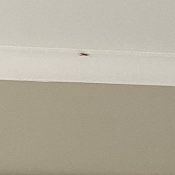 Yasmin Bodrum Resort Hijyen Ve Hizmet Eksikliği