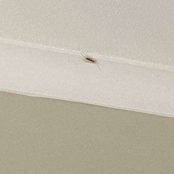 Yasmin Bodrum Resort Hijyen Ve Hizmet Eksikliği