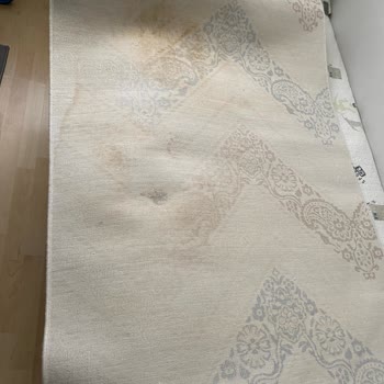 Meşhur Halı Yıkama (Pendik) Meşhur Halı Yıkama Kartal Kurfalı Halımı Paslandırdı