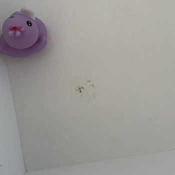 Karadeniz Mobilya (Lüleburgaz) 'nın Yaptığı Kalitesiz Mobilyalar!