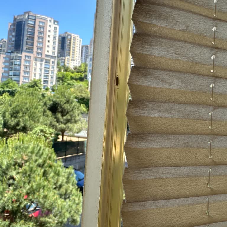 Yalçın Temizlik Profesyonellikten Uzak Hizmet Deneyimi