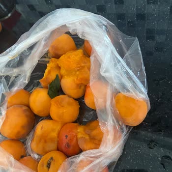 Şok Market'ten Aldığım Kayısılar Bozuk Çıktı, Telafi İstiyorum!