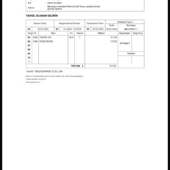 Gelir İdaresi Başkanlığı Trafik Cezasını 2 (iki) Defa Ödemişim