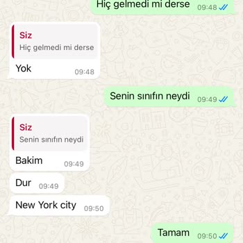Amerikan Kültür Yabancı Dil Kursları Kavacık Amerikan Kültür İngilizce Kursu