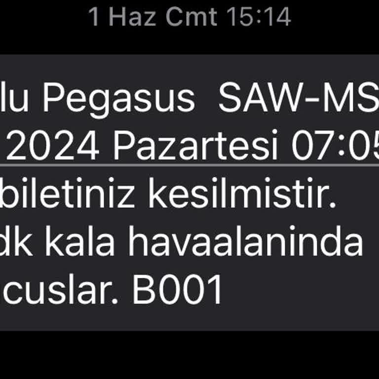 Pegasus Sen Nasıl Bir...