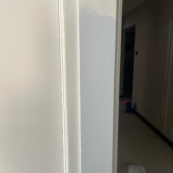 DYO Boya Kapı Boyası Renk Uyuşmazlığı