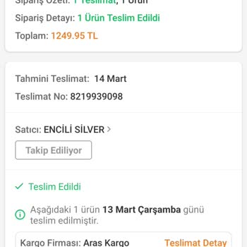 Trendyol İncili Silver Kusurlu Ürün