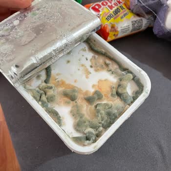 Pınar Et ve Süt Süzme Peynirde Beklenmedik Durum