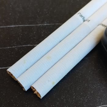 Parlement Sarı Leke Var