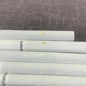 Parlement Sarı Leke Var