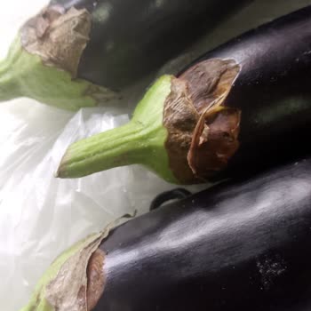 A101 Kapıda Çürük Ürün Getiriyor İade Yok