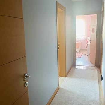 Jotun Boya Gri Renk Mor Oldu