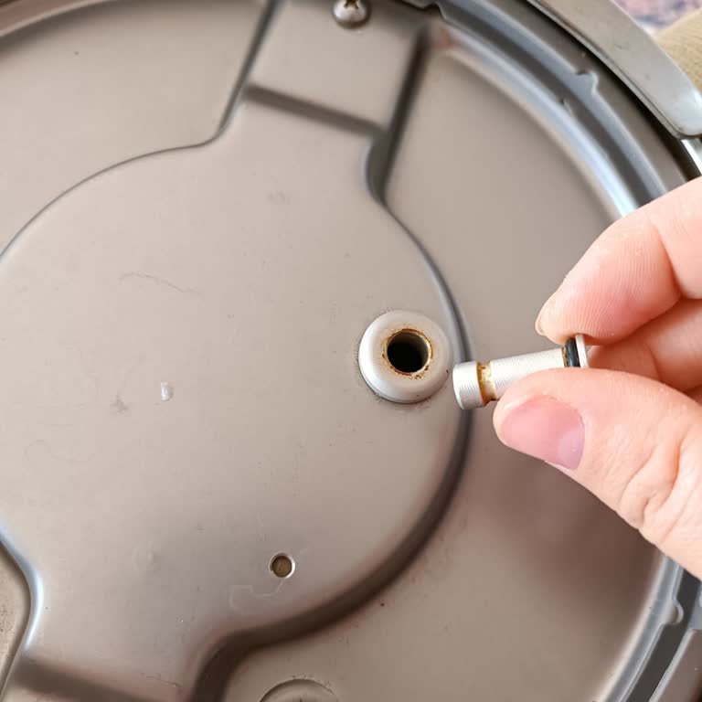 Emsan Mutfak Düdüklü Tencere Kapağı Basınç Bar Vidası Sorunu