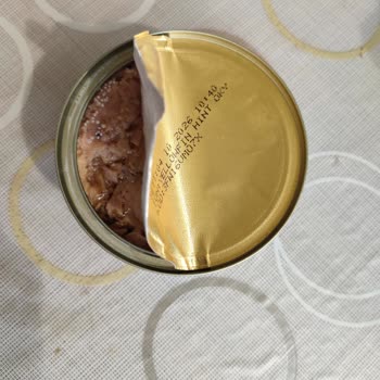 Dardanel Ton Küflü Ürün