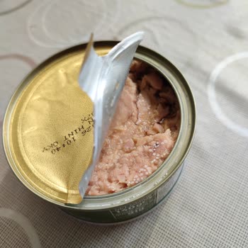 Dardanel Ton Küflü Ürün