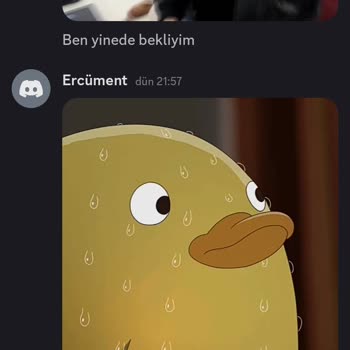 Discord.com Blox Fruit Oyununda Haksız Kazanç Sağlayan Sunucu Sahibi