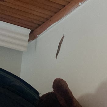 Biosin İlaçlama & Dezenfeksiyon Baştan Savma İlaçlama İlgisizlik