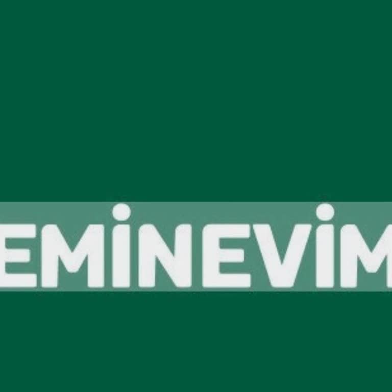 Eminevim'de Yaşadığım Olumsuz Deneyim Ve Sorunlar
