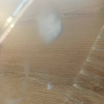 Bosch Otomotiv Bosch Buzdolabı Raflarında Buzlanma-Buğulanma Lekeleri Oluştu