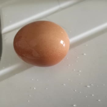 Çok Gezenti Yumurta Organik Yumurtanın Boyanması