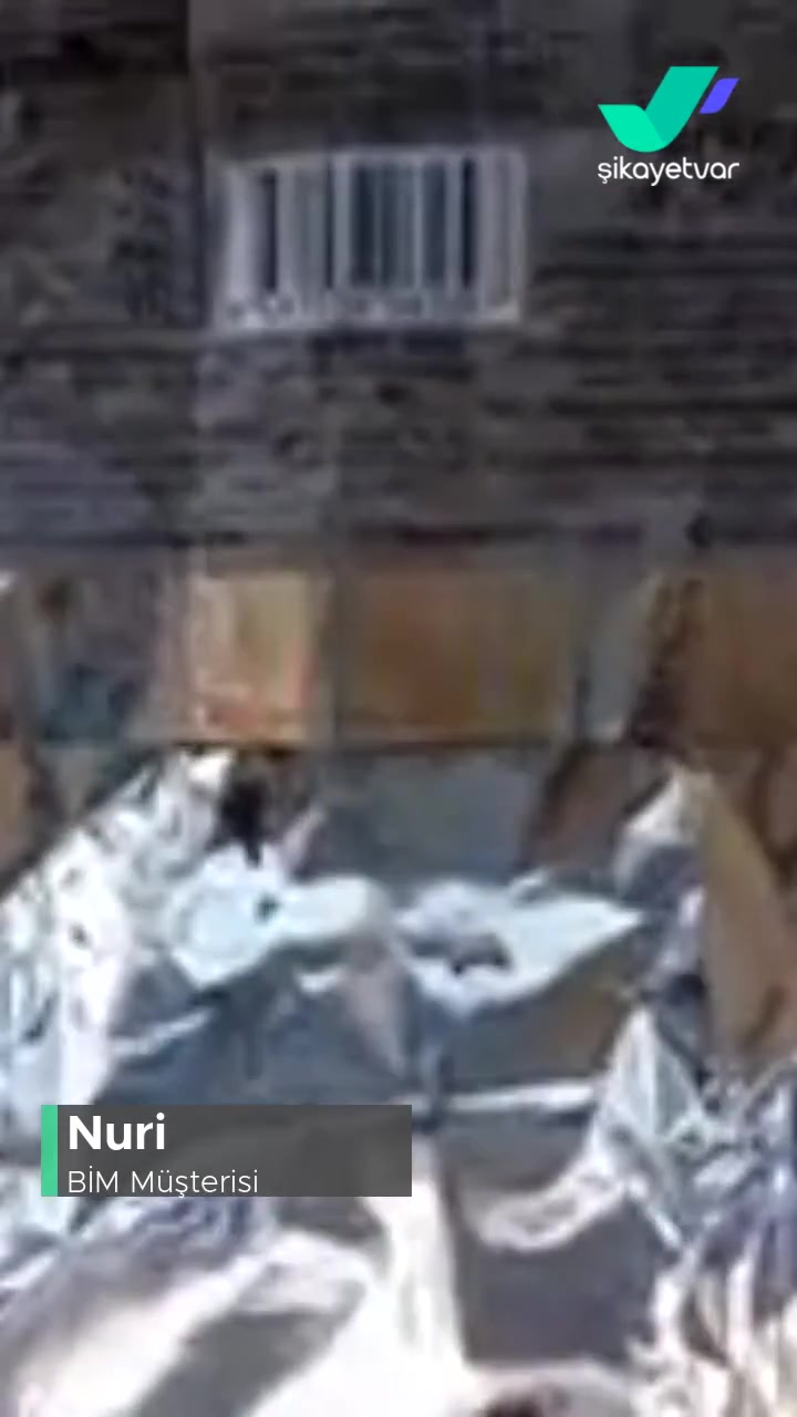 BİM Casey Kakaolu Kek Kurt Çıktı! videonun kapak resmi