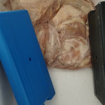 Dededen Toruna Kokoreç Bozuk Kokmuş Ürün Gönderildi.