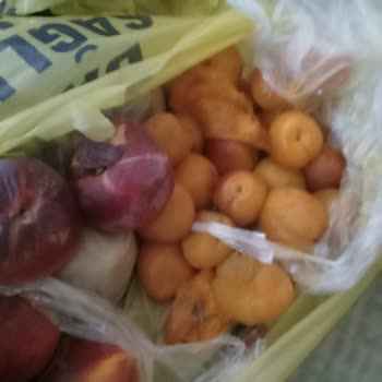 Şok Marketler Şok Marketin Ayıbı
