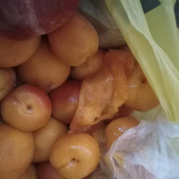 Şok Marketler Şok Marketin Ayıbı