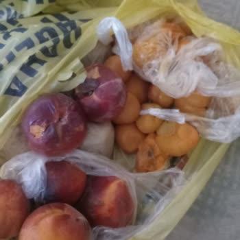 Şok Marketler Şok Marketin Ayıbı