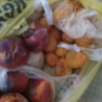 Şok Marketler Şok Marketin Ayıbı