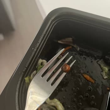 Tavuk Dünyası Getir Siparişimde Salatadan Salyangoz Çıktı, Mide Bulandıran Deneyim!