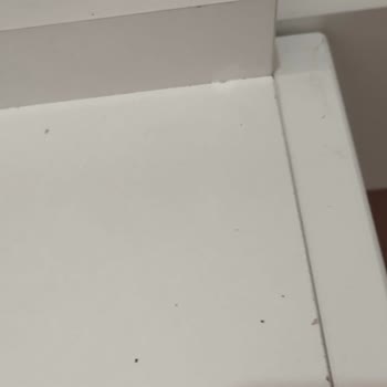 Vivense'nin Kötü Hizmeti