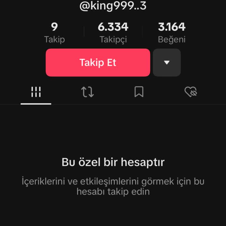 TikTok Hesap Çalınması Bilgilerime Ulaşılması