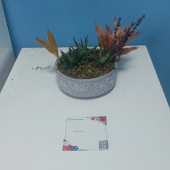 Çiçek Sepeti Nasıl Sizi Mahcup Edebilir