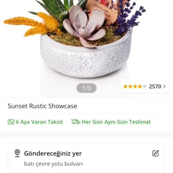 Çiçek Sepeti Nasıl Sizi Mahcup Edebilir