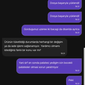 Burger King Patatese Saplı Böcek