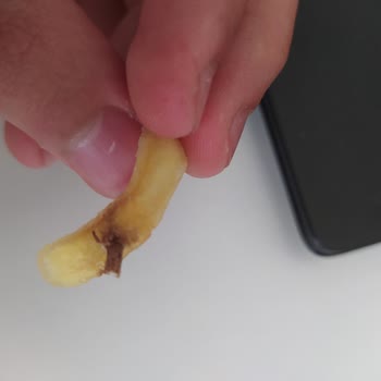 Burger King Patatese Saplı Böcek