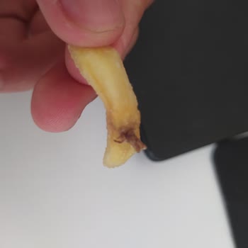 Burger King Patatese Saplı Böcek