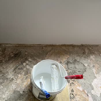 Dyo Yeni Yakamoz (lila Demek Daha Doğru)