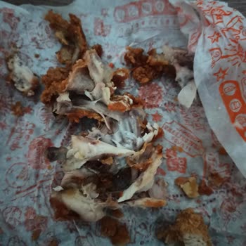 Popeyes Tavuk Burgerin Kemikli Çıkması Ve Tavukların Bayat Olması
